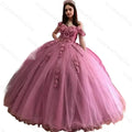 Charming Pink Evening Dresses 3D Applique Puffy Skirt Lace-Up Back Sweet Party Dress Long Prom Gowns